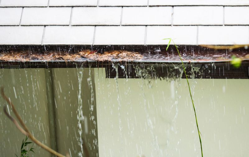 Debris Removal from Gutters
